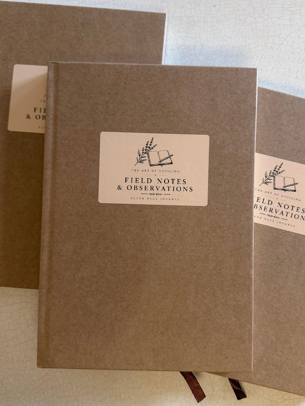 The Art of Noticing | Field Journal