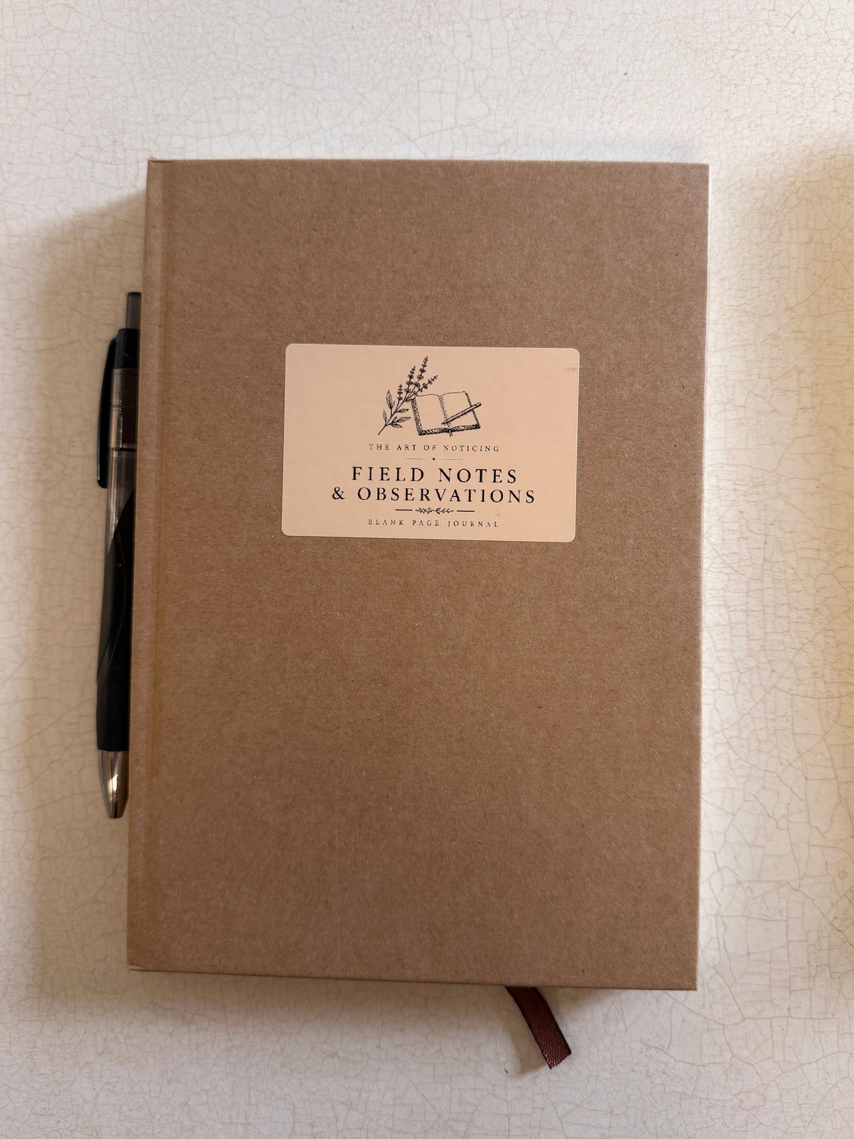 The Art of Noticing | Field Journal